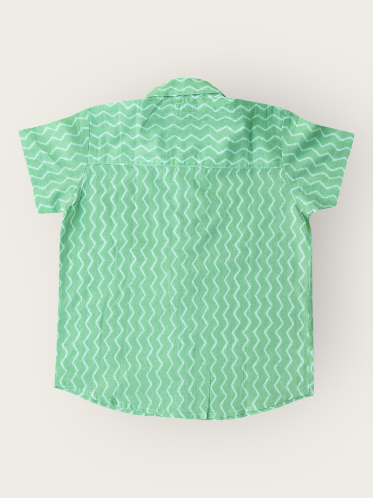 Boys Green Chevron Half Sleeves Spread Collar Shirt