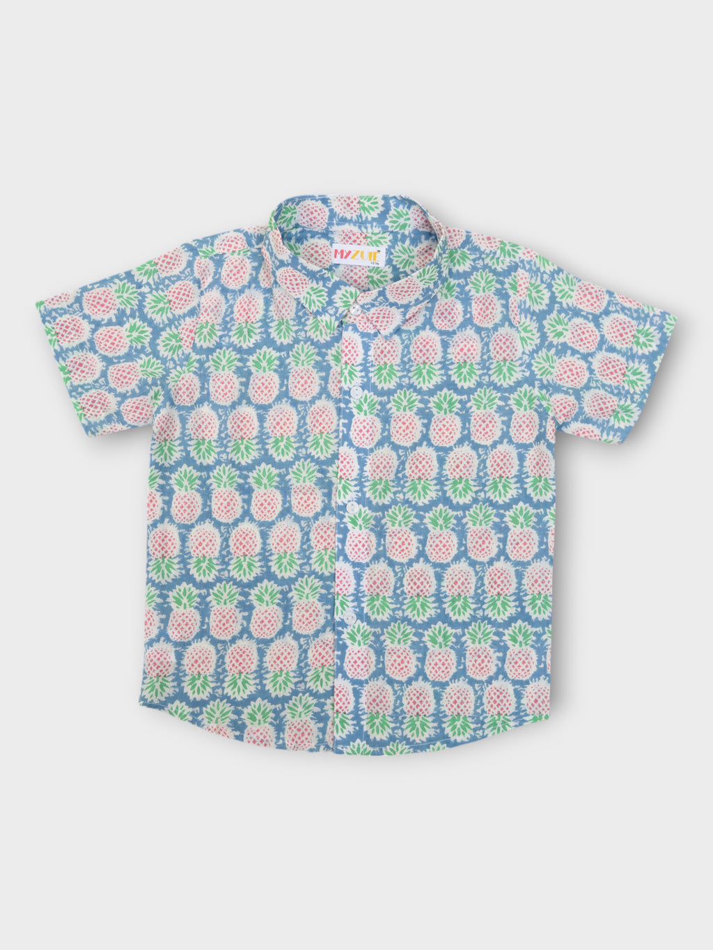 Boys Pineapple Half Sleeves Spread Collar Shirt