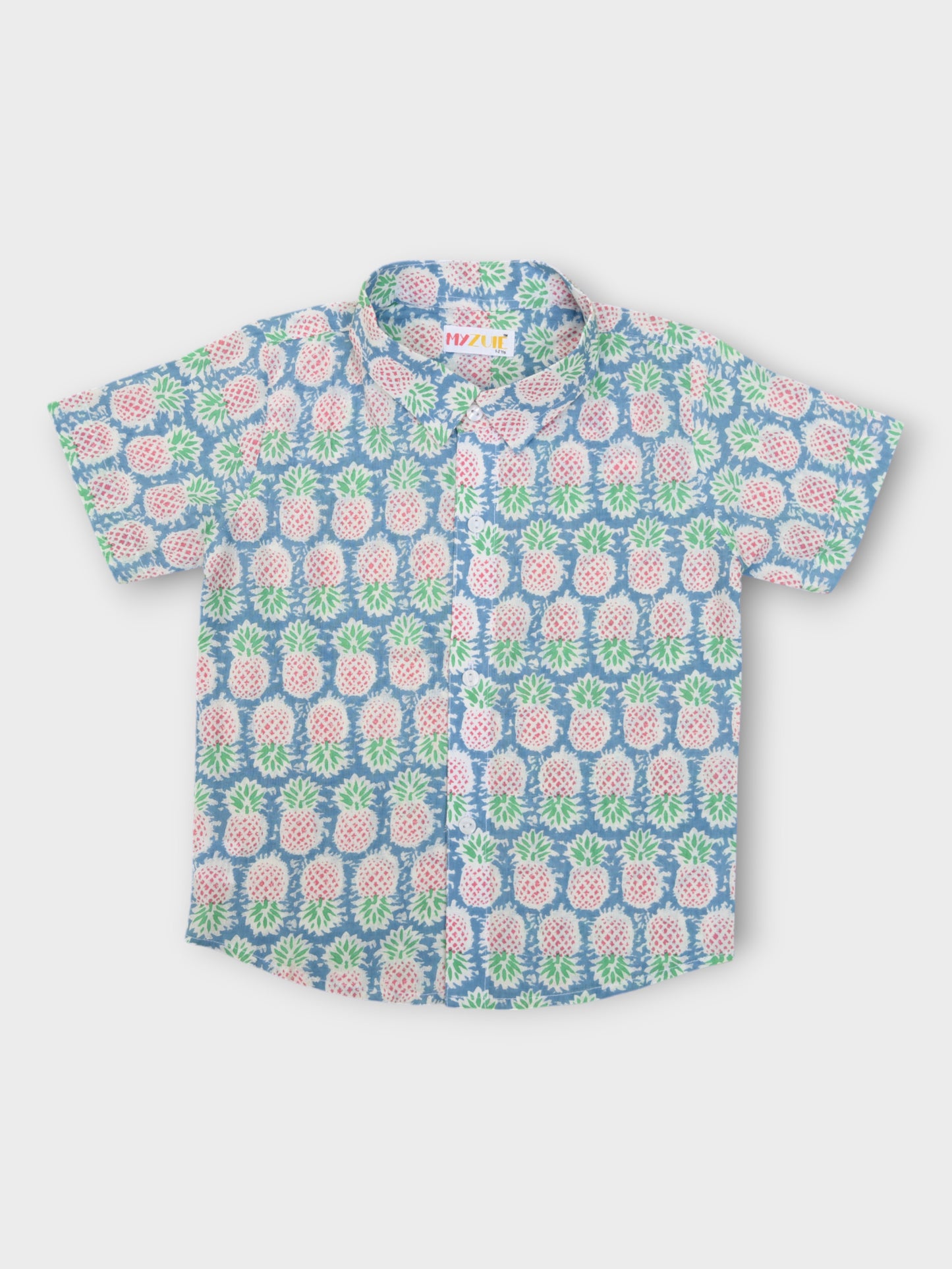 Boys Pineapple Half Sleeves Spread Collar Shirt