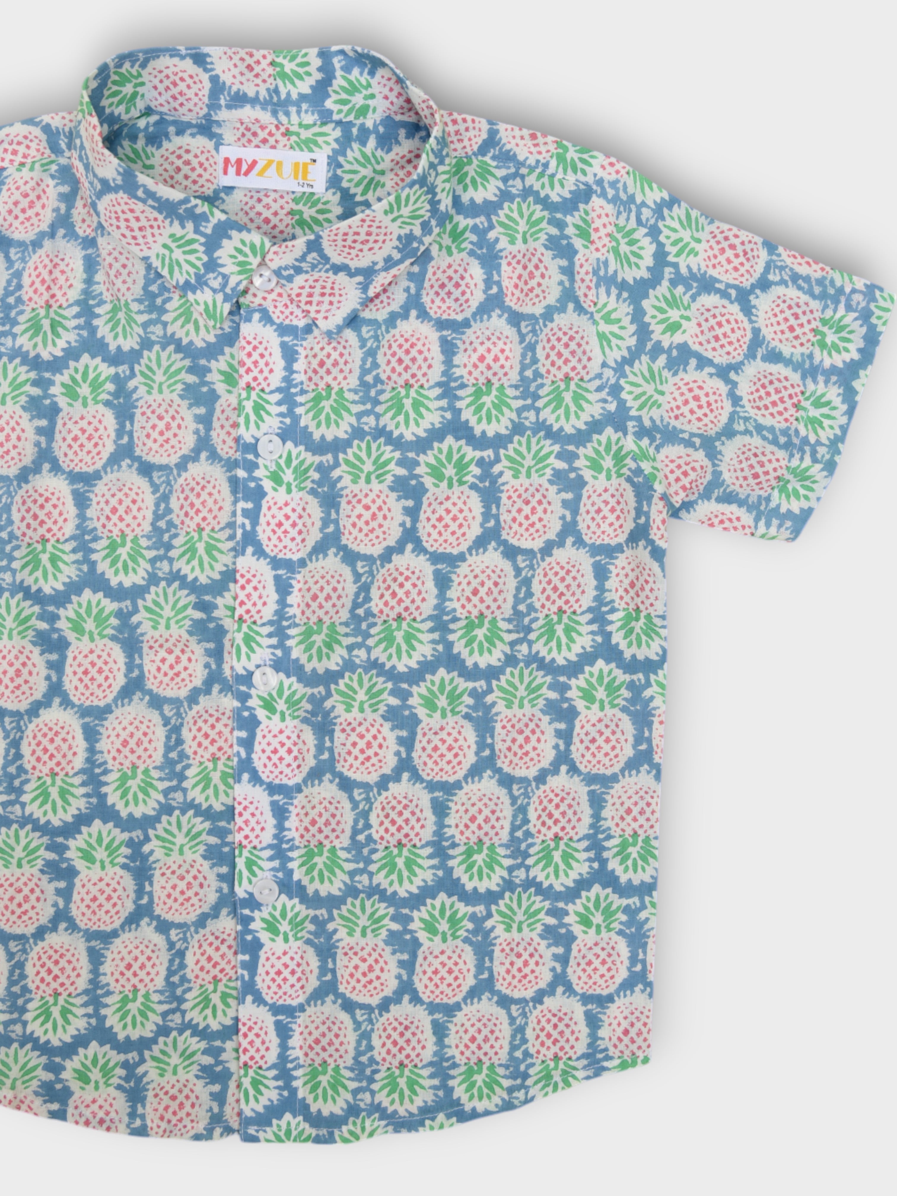 Boys Pineapple Half Sleeves Spread Collar Shirt