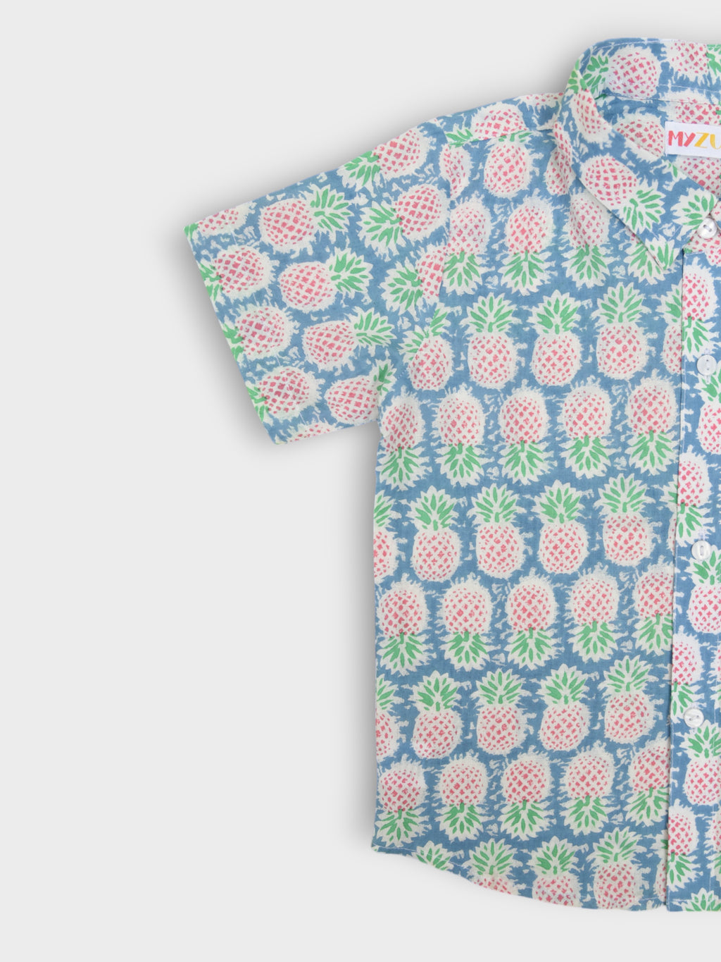 Boys Pineapple Half Sleeves Spread Collar Shirt
