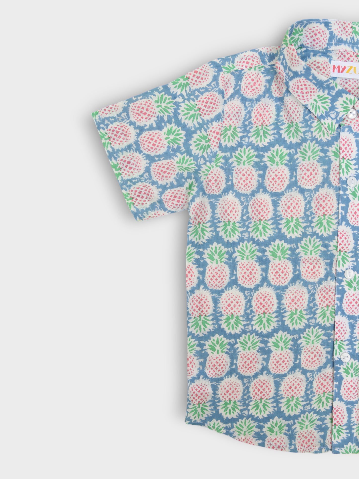 Boys Pineapple Half Sleeves Spread Collar Shirt