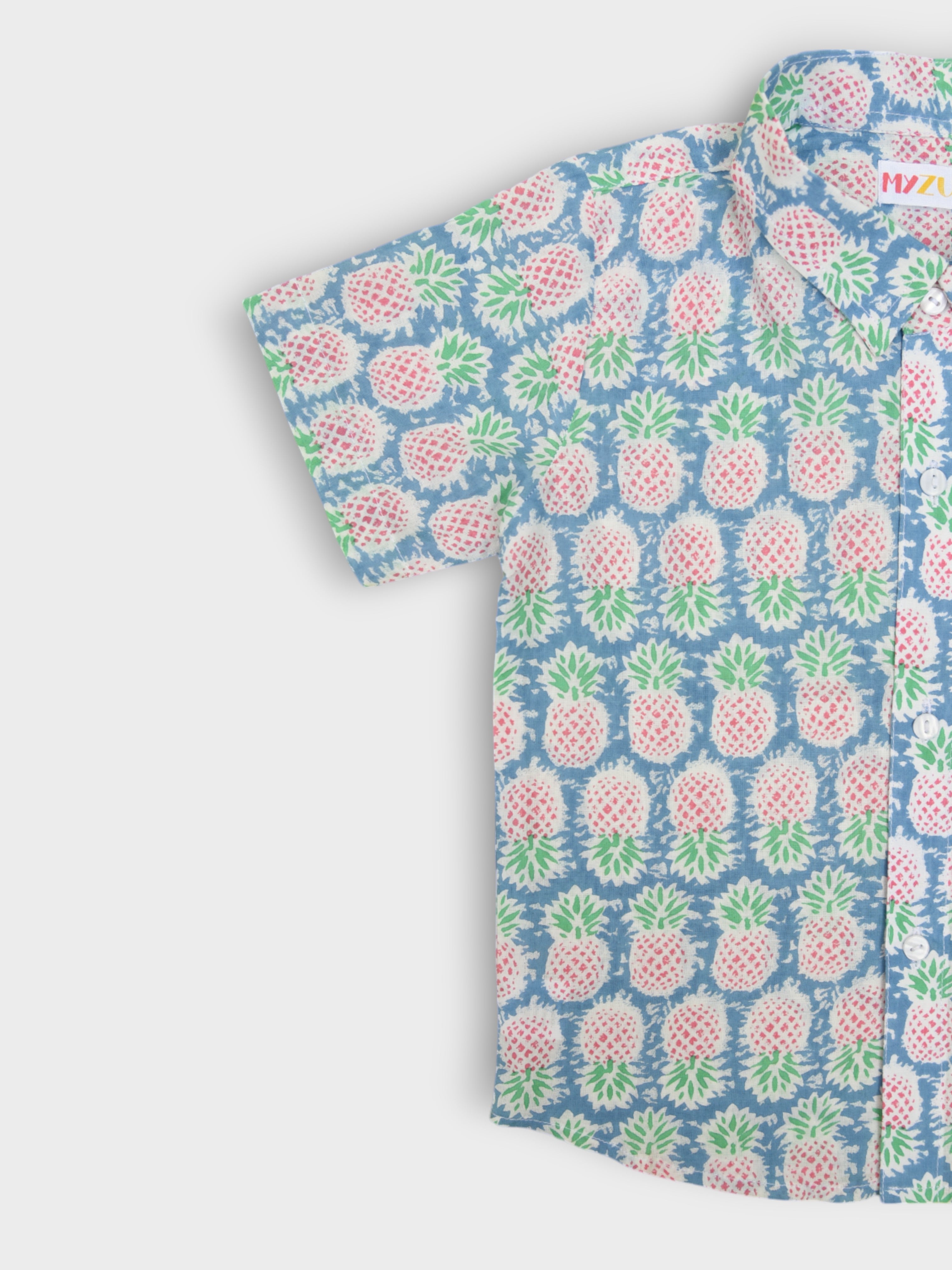 Boys Pineapple Half Sleeves Spread Collar Shirt