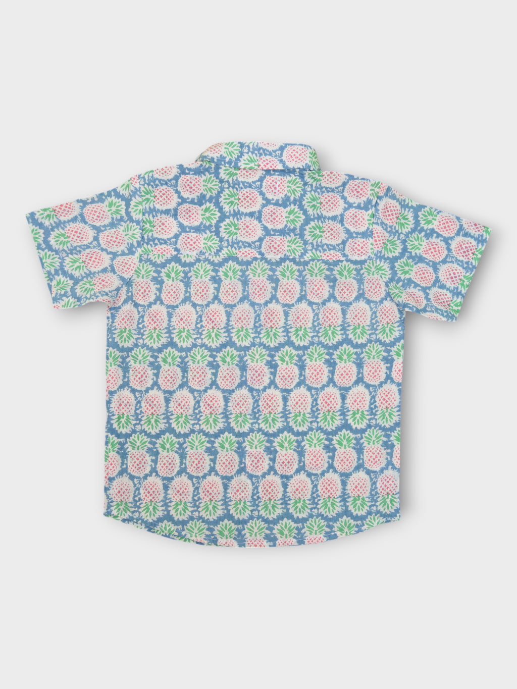 Boys Pineapple Half Sleeves Spread Collar Shirt