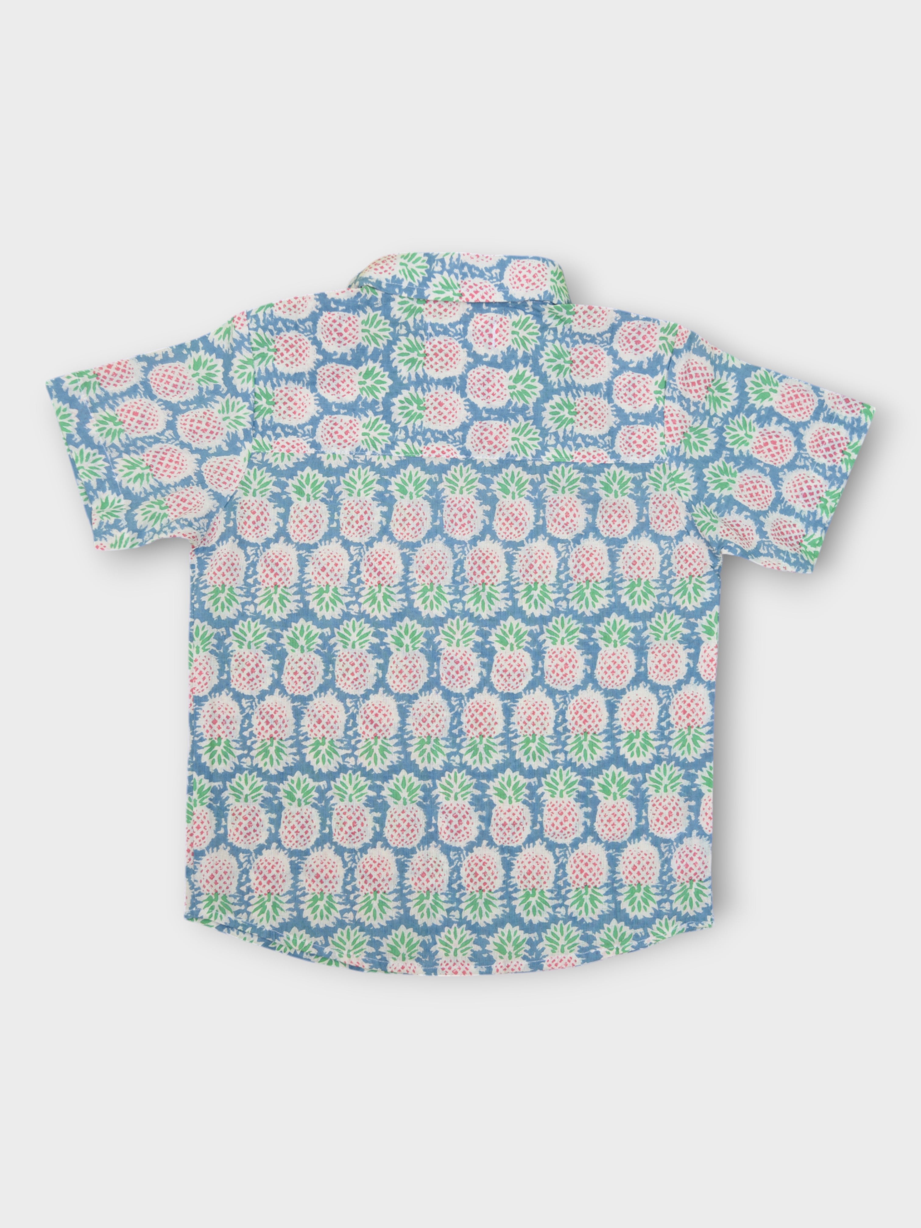 Boys Pineapple Half Sleeves Spread Collar Shirt